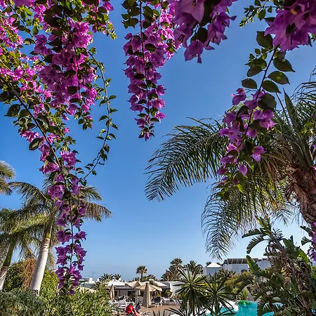 شقة Hg Lomo Blanco