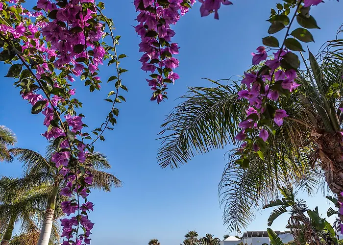 Апартаменти Hg Lomo Blanco